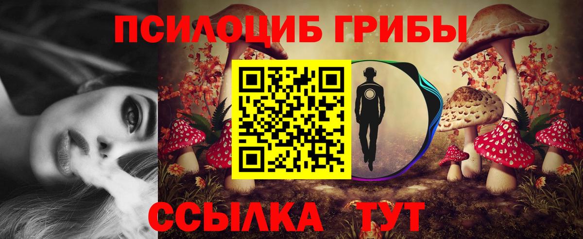 Галлюциногенные грибы Magic Shrooms  Вход с VPN  Лыткарино 